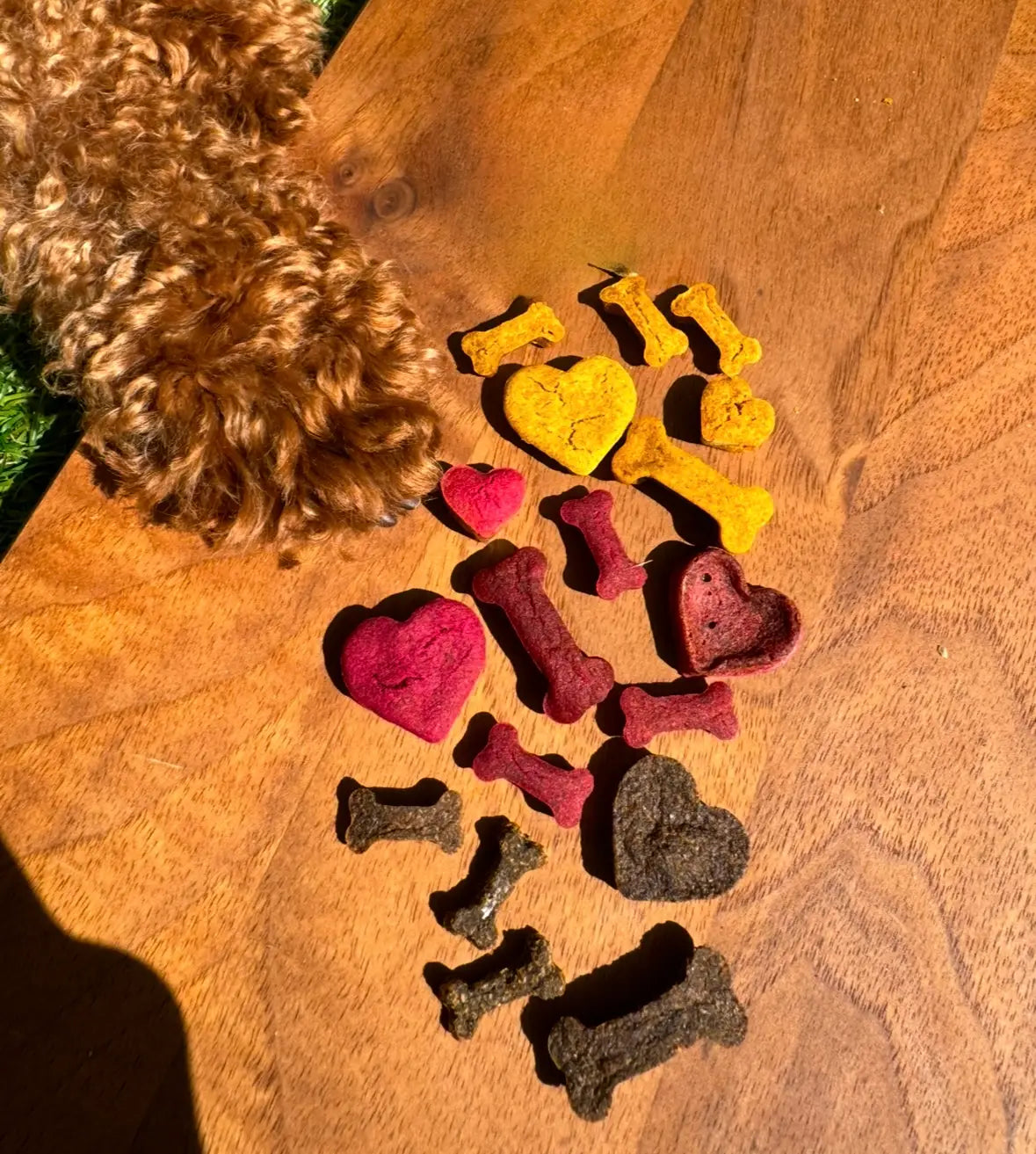 All in One Probiermischung – vegane Hundesnacks zum Testen