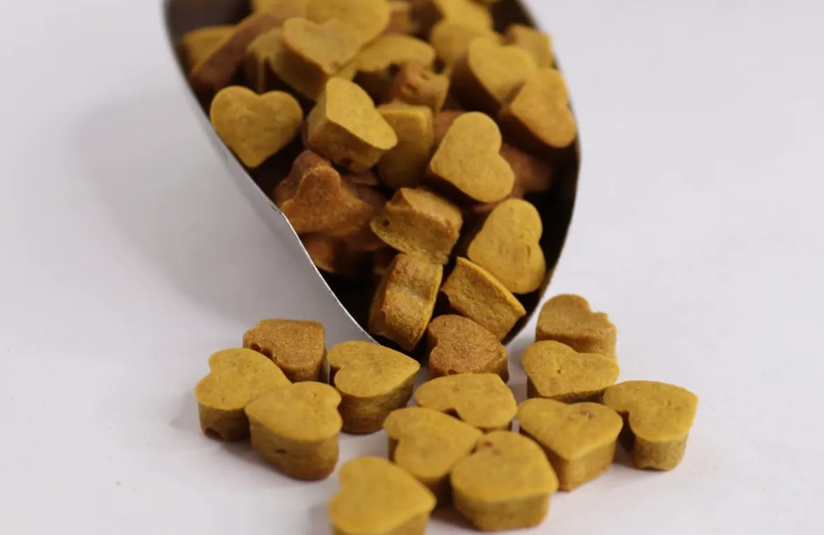 hundeleckerlis zu Unterstützung der vitalität