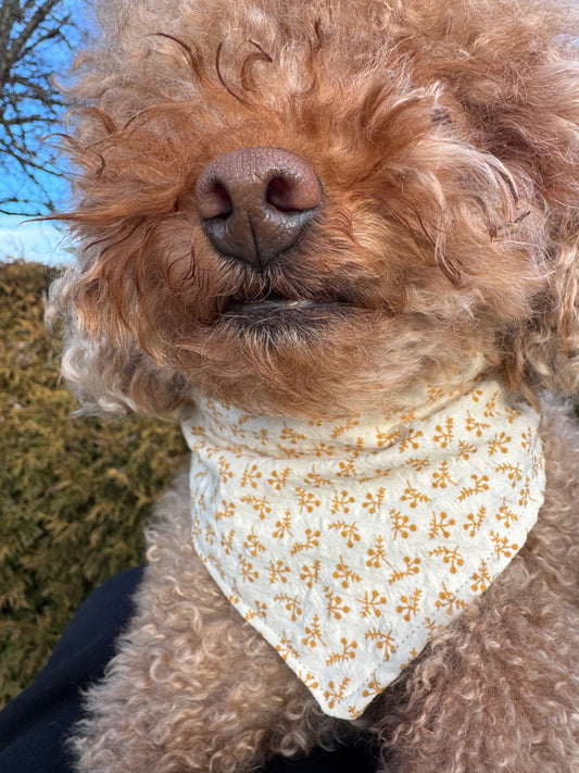 Handgenähtes Hundehalstuch