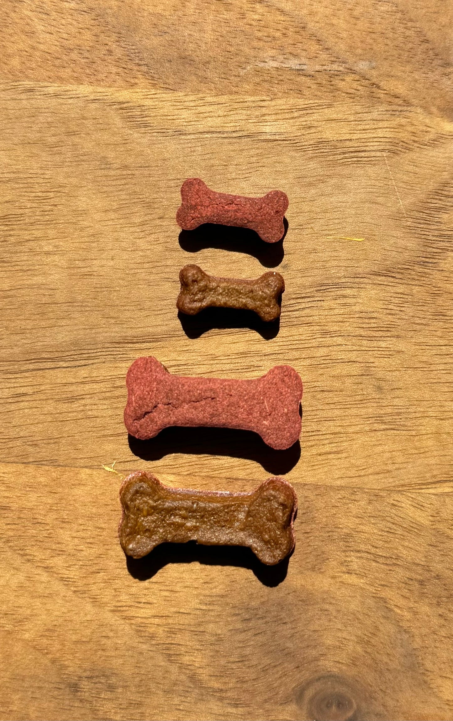 vegane gesunde hundesnacks
