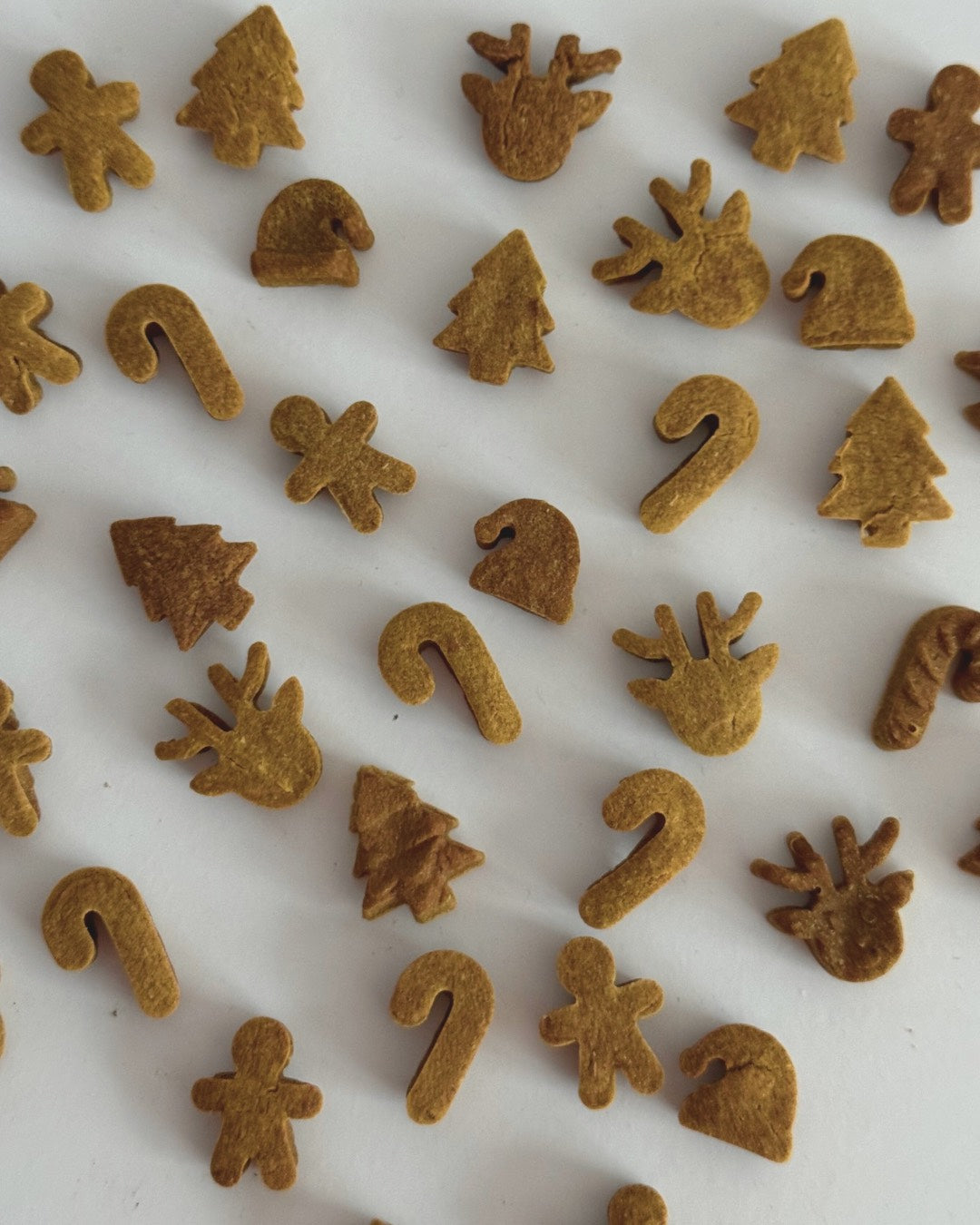 Weihnachtsedition: Immune Bites