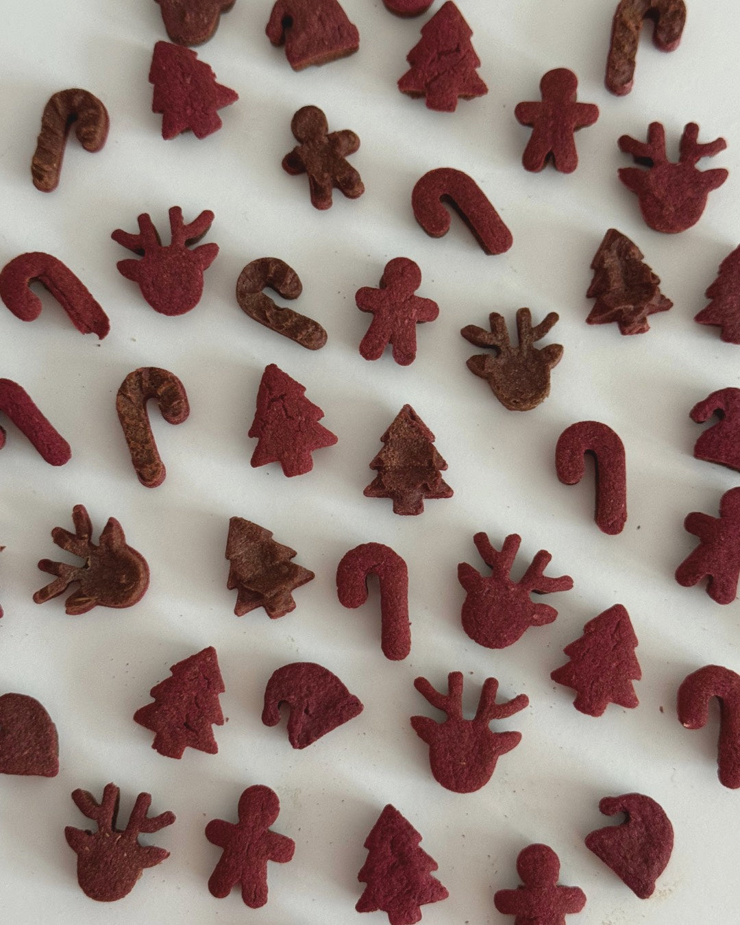 Weihnachtsedition: Belly Bites